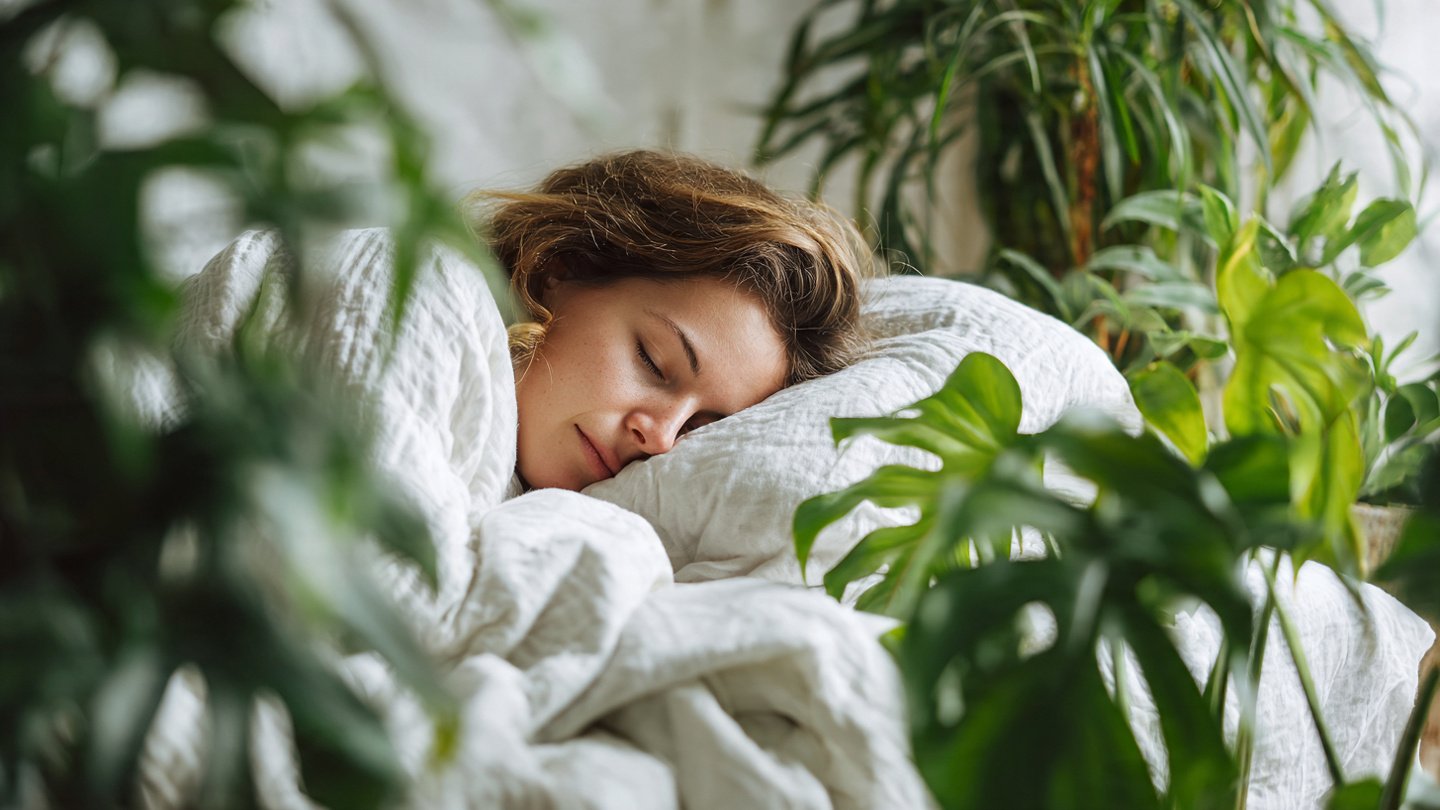 How a single bedroom houseplant can increase deep sleep phases by 37%, according to a new nasa study