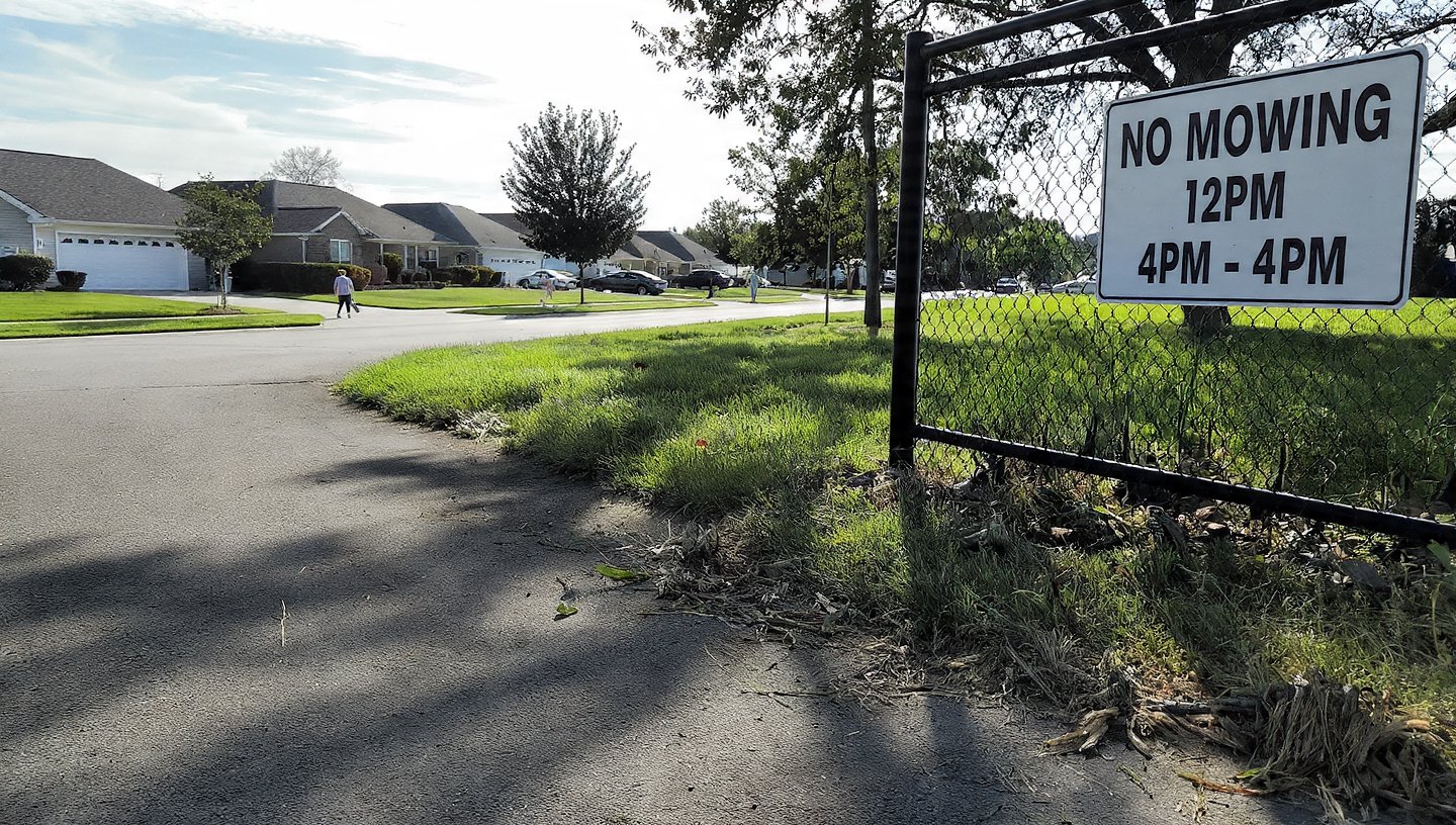 Bad news : Starting February 15, a prohibits mowing lawns between noon and 4 p.m.